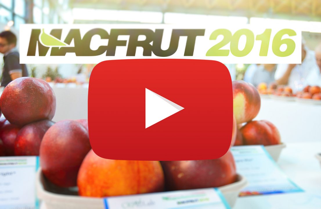 macfrut-expo-2016-rimini-italy